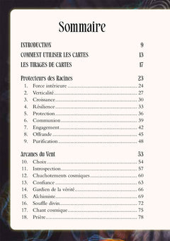 L'Oracle Chamanique