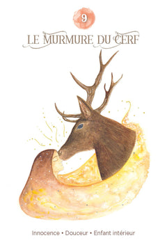 Coffret l'oracle de l'essence chamanique