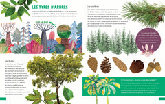 La nature et ses merveilles