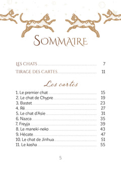 L'oracle initiatique des chats