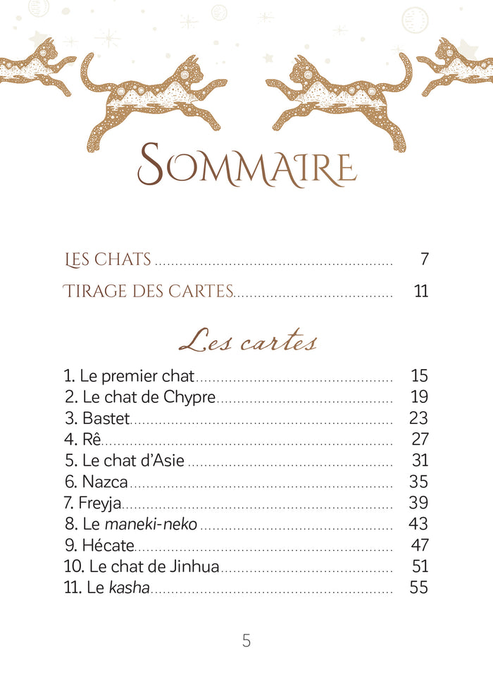 L'oracle initiatique des chats