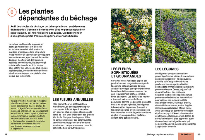 Cultiver sans bêcher - Techniques alternatives - Végétation couvre-sol - Respecter la terre