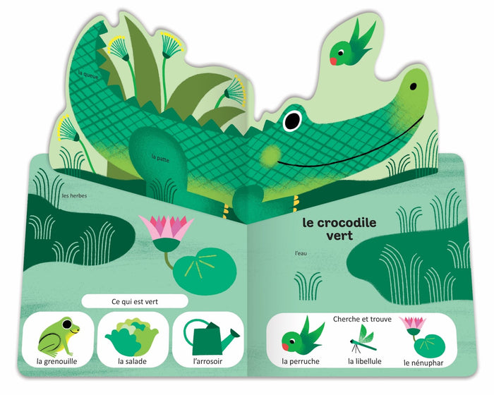 Pop.pop.pop - L'imagier pop-up des couleurs