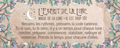 Le petit oracle du druide