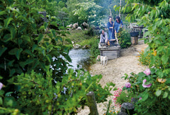 Teindre avec les plantes