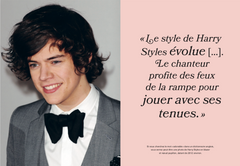 Harry Styles, l'Histoire d'une icône de la Mode