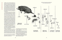Prendre soin de son sol - Mieux le comprendre, le fertiliser et favoriser la vie