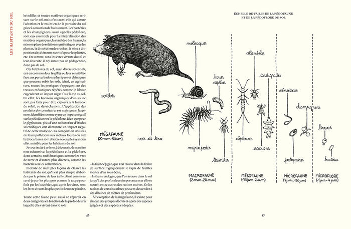 Prendre soin de son sol - Mieux le comprendre, le fertiliser et favoriser la vie