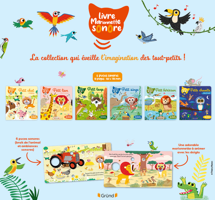 Petit lion dans la savane