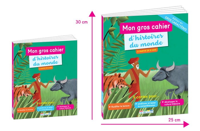 Mon gros cahier d'histoires du monde