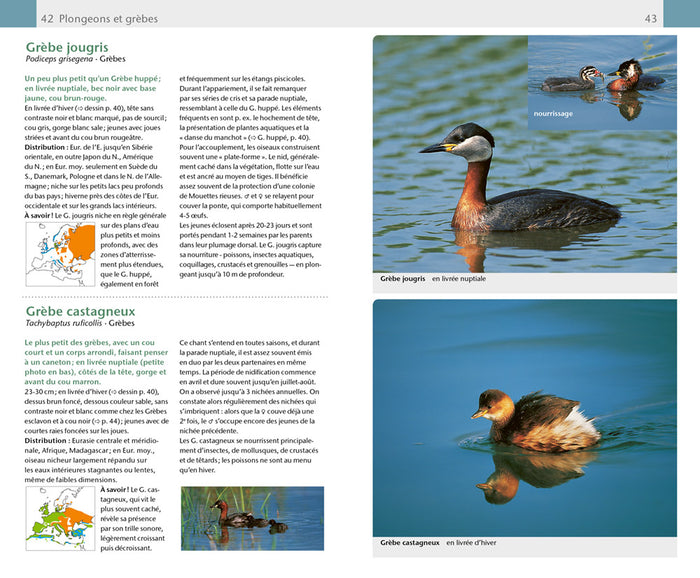 Oiseaux. 420 espèces