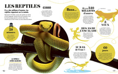 Apprendre en 5 minutes - Nature