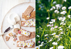 Chips de dahlias & Muffins aux coquelicots
