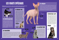 Les Chats - Mille et un docs