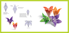 Leçons d'Origami