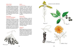 Fabriquer son matériel d'art - avec les ressources de la nature
