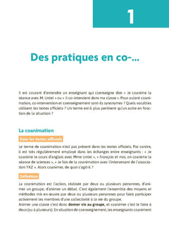 Le coenseignement en pratique