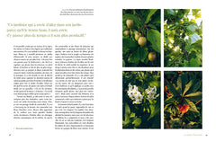 Paysages comestibles - Les nouveaux jardins nourriciers
