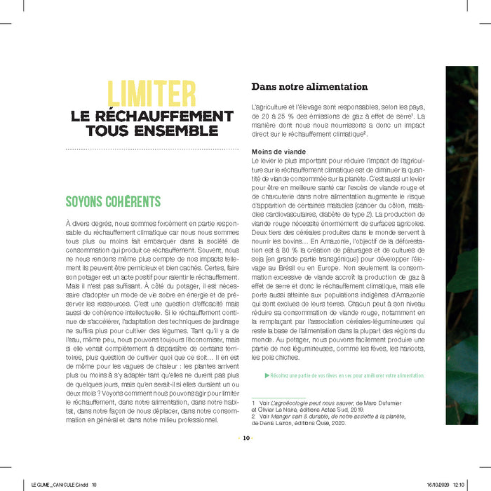 Légumes et canicule