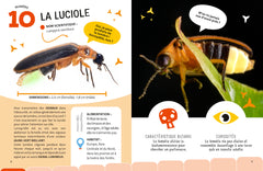 Top 10 des insectes les plus bizarroïdes