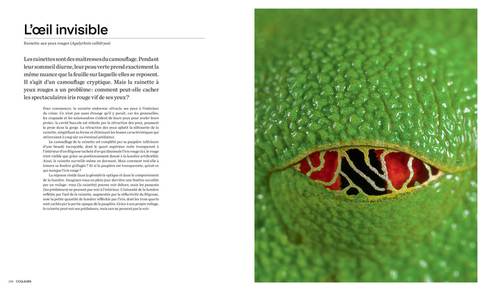 Les formes de la nature