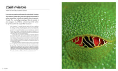 Les formes de la nature