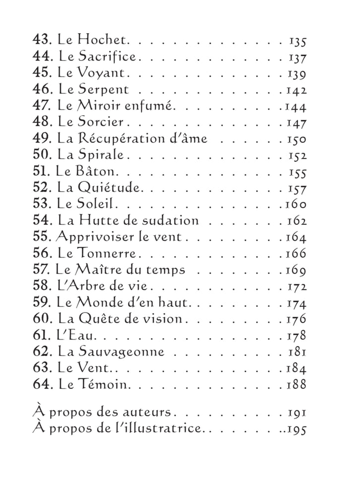 L'oracle pocket du chaman mystique