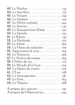 L'oracle pocket du chaman mystique