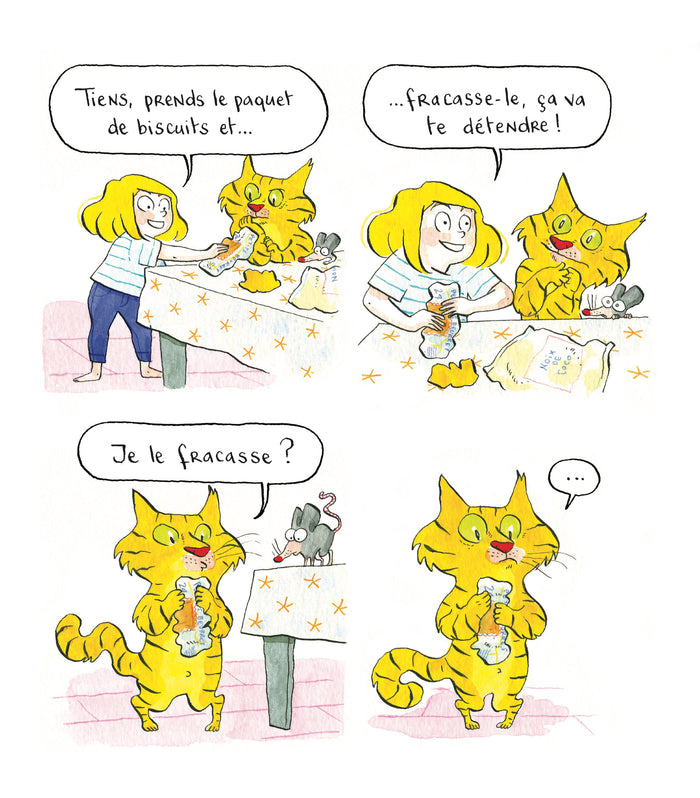 Tambouille et gribouille : le super gâteau