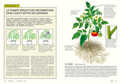 Sensibles par nature