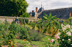 Le Conservatoire de la Tomate - Savoir-faire de La Bourdaisière &middot; 50 variétés à cultiver