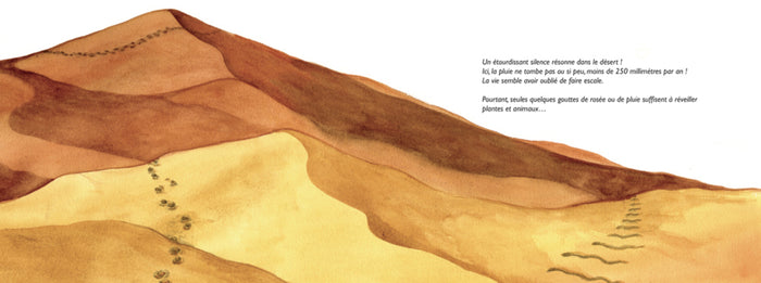 Dessine-moi un désert !