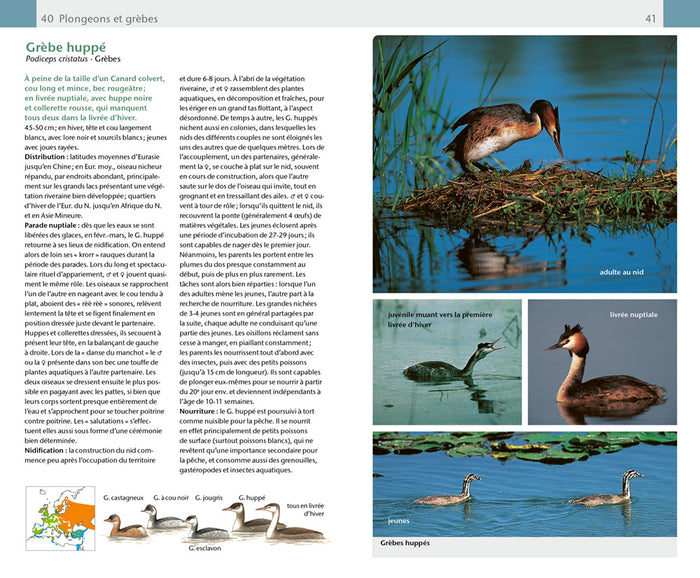 Oiseaux. 420 espèces