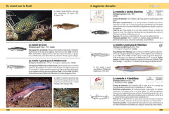 Guide d'identification des poissons marins - Europe et Méditerranée