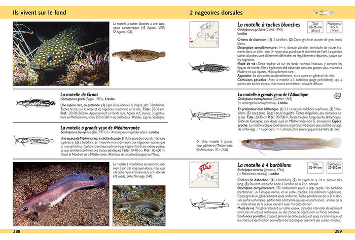 Guide d'identification des poissons marins - Europe et Méditerranée