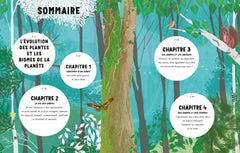 La vie secrète des arbres