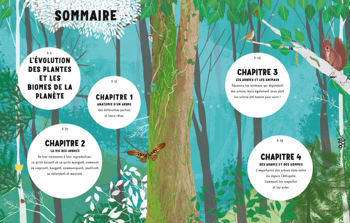 La vie secrète des arbres