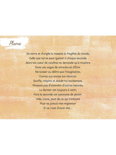 Méditations de chats