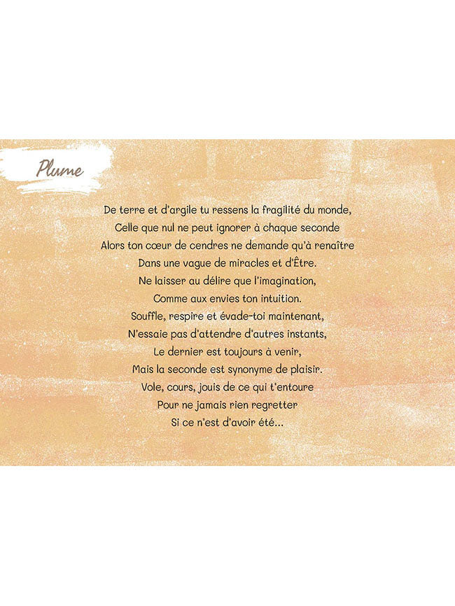 Méditations de chats