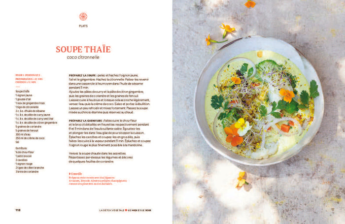 Détox végétale - 70 recettes et conseils pour prendre soin de soi