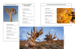L'Atlas des arbres - Un incroyable tour du monde végétal