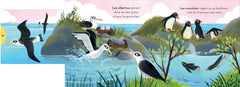 Les oiseaux - Avec des tirettes à chaque page !