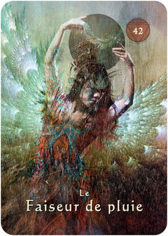 L'oracle pocket du chaman mystique