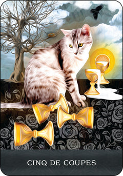 Coffret Le Tarot des chats mystérieux