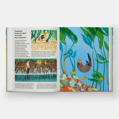 La vie secrète des coquillages