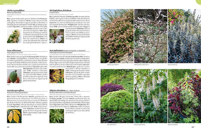 Les 900 plantes de jardin à connaître