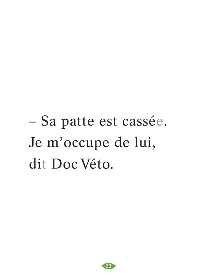 La patte cassée de Carmélito