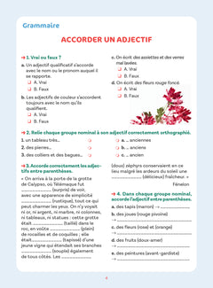 Réussite collège français 5e