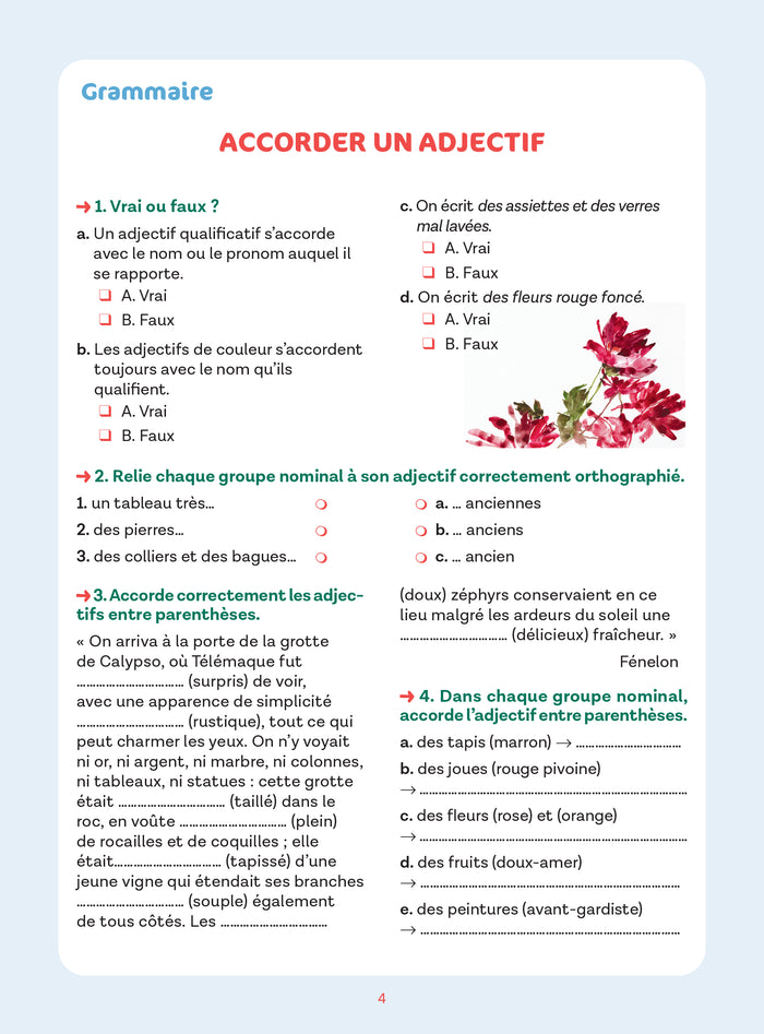 Réussite collège français 5e