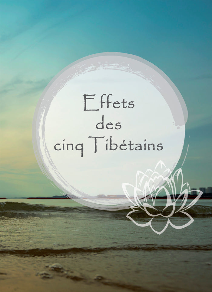 Le pouvoir des 5 tibétains